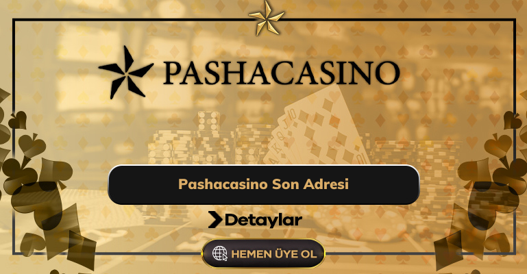 Pashacasino Son Adresi